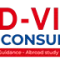 D-Vivid Consultant