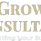 BizGrowth Consultants